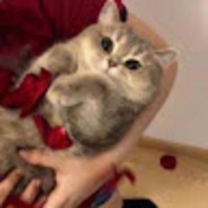 Meet your Posher, Sophie